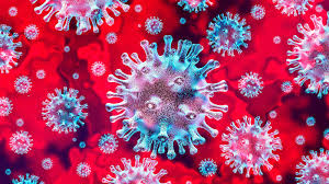 Prestación extraordinaria por cese de actividad para trabajadores autónomos medidas adoptadas por el coronavirus COVID-19. Real Decreto Ley 8/2020